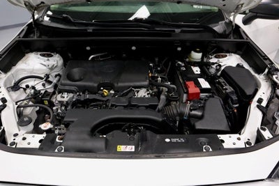 2019 Toyota RAV4 LE AWD (Natl)