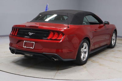 2021 Ford Mustang EcoBoost