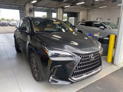 2024 Lexus NX 250 250 Premium