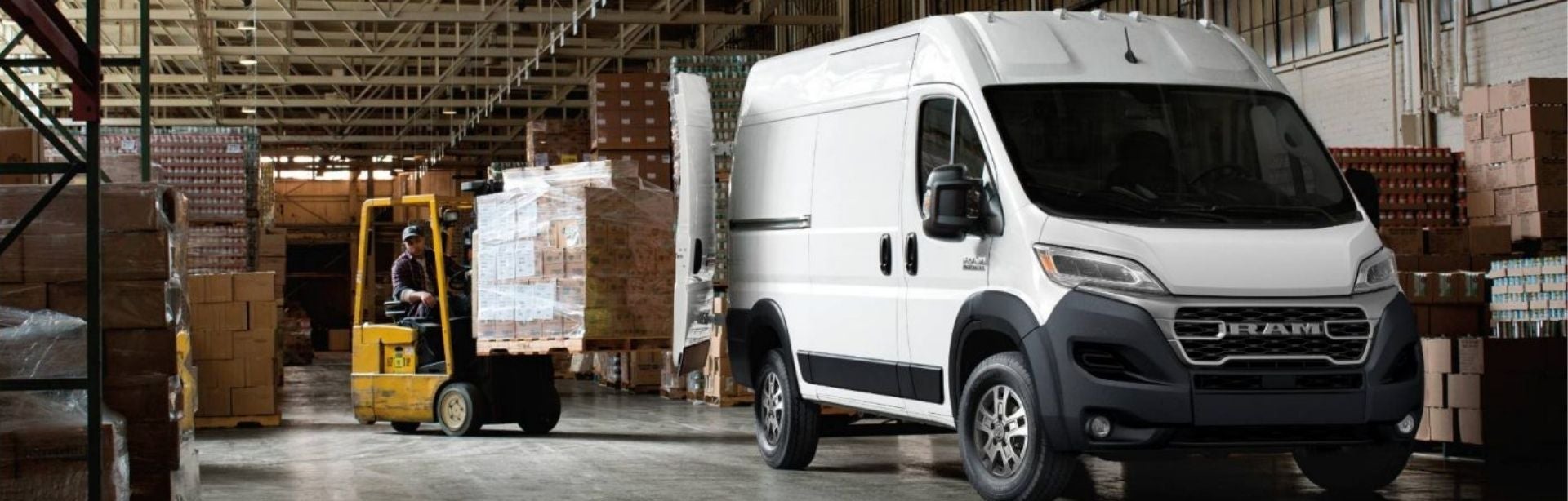 RAM_Promaster